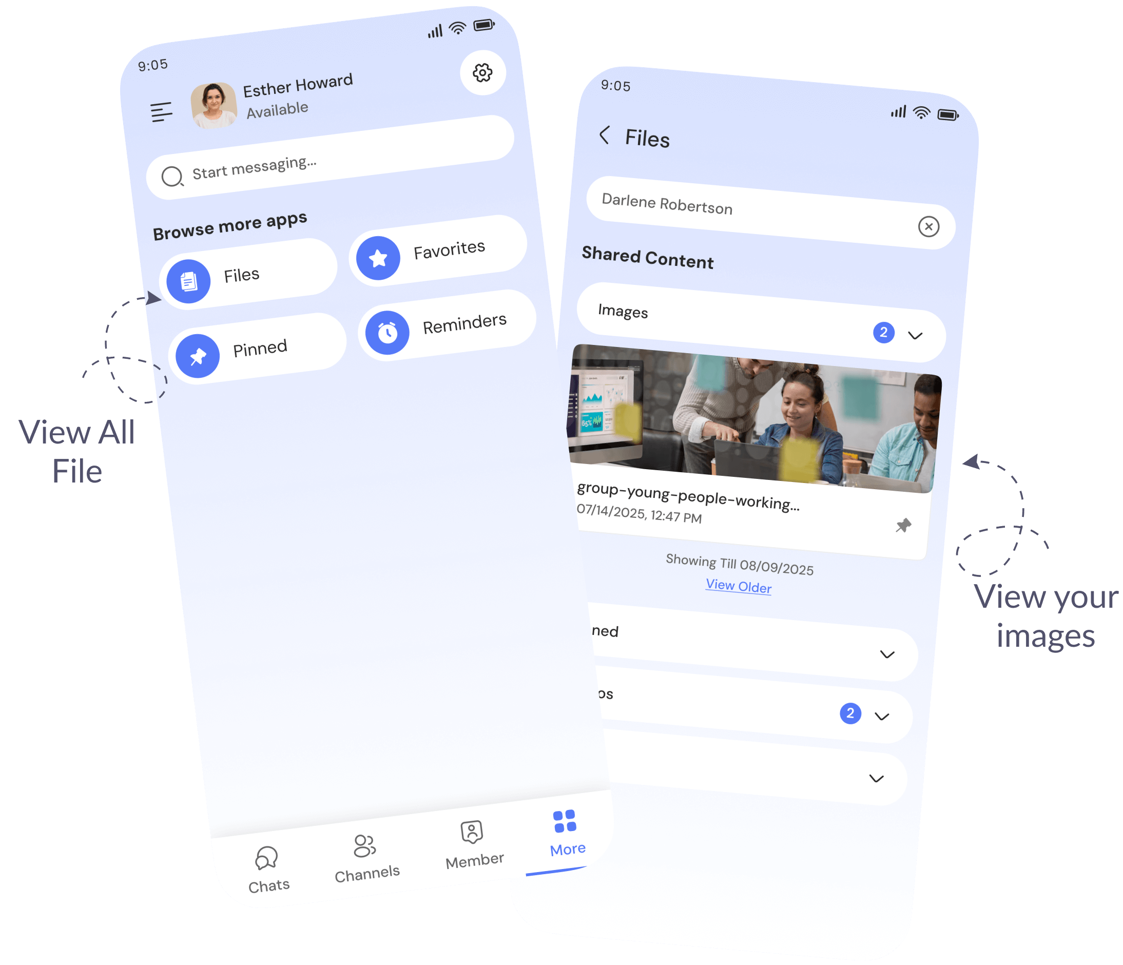Search option